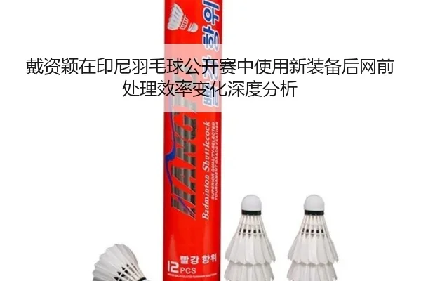 戴资颖在印尼羽毛球公开赛中使用新装备后网前处理效率变化深度分析