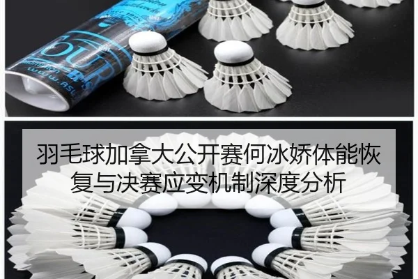 羽毛球加拿大公开赛何冰娇体能恢复与决赛应变机制深度分析